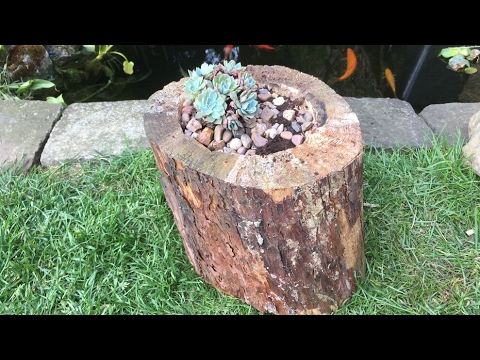 18 DIY Projects With Tree Stumps - Working the Flame