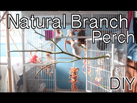 20 DIY Projects With Tree Branches - Working the Flame