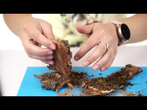18 DIY Project Ideas With Tree Bark - Working the Flame