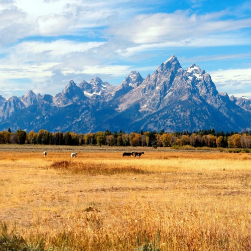 blacksmithing classes in Wyoming