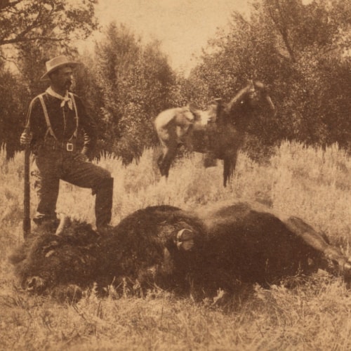 Sharps Model 1853 