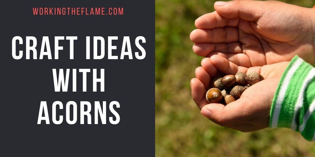 Craft Ideas With Acorns