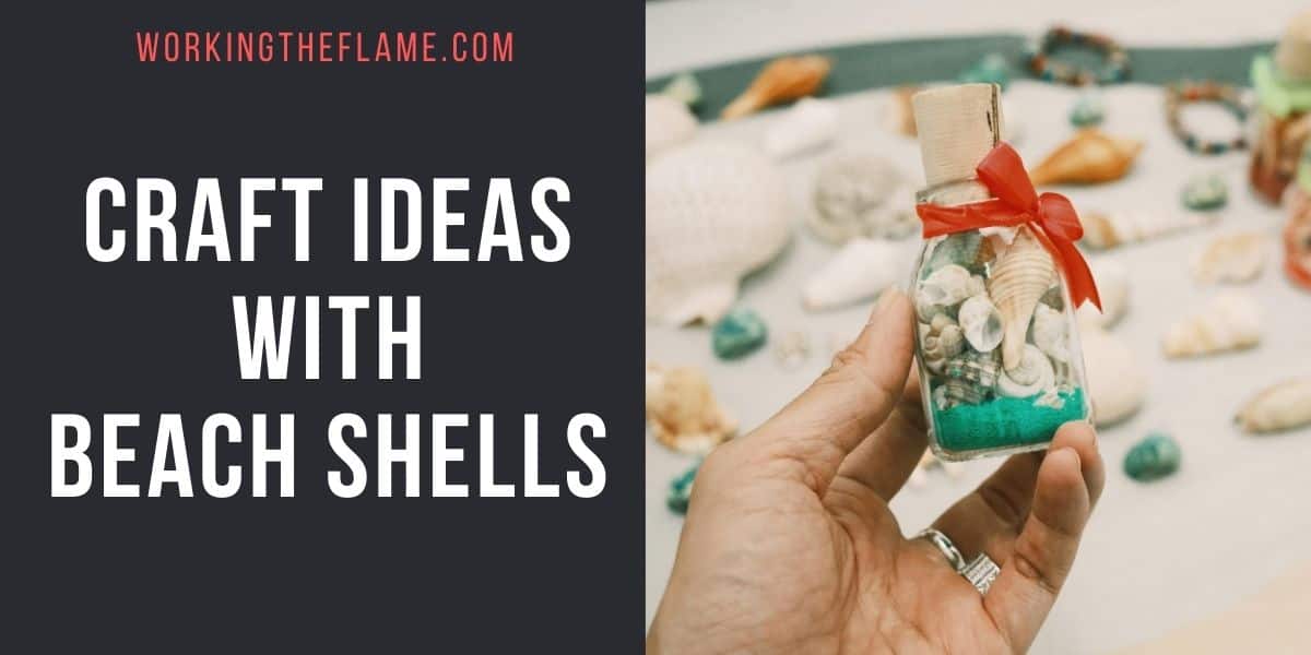 Craft Ideas With Beach Shells